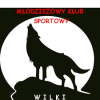 MKS Wilki Wilkowice