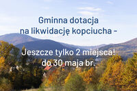 Gminna dotacja na wymianę źródeł ciepła - do 30 maja!