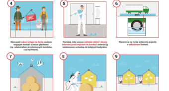 UWAGA GRYPA PTAKÓW!! APEL DO WŁAŚCICIELI DROBIU