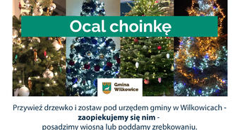 Akcja "Ocal choinkę" 2025/26